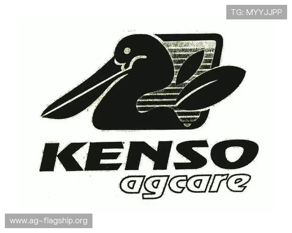 登录AG国际厅官网，享受专业的技术支持与安全保障，放心娱乐无忧