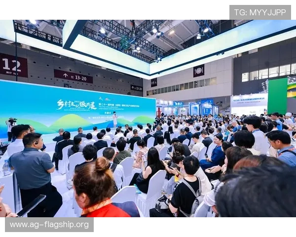 恒峰国际ag支付方式多样化确保资金安全与快速到账的操作指南